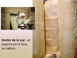 Doctor de la Ley: un
experto en la Torá,
un rabino.
 