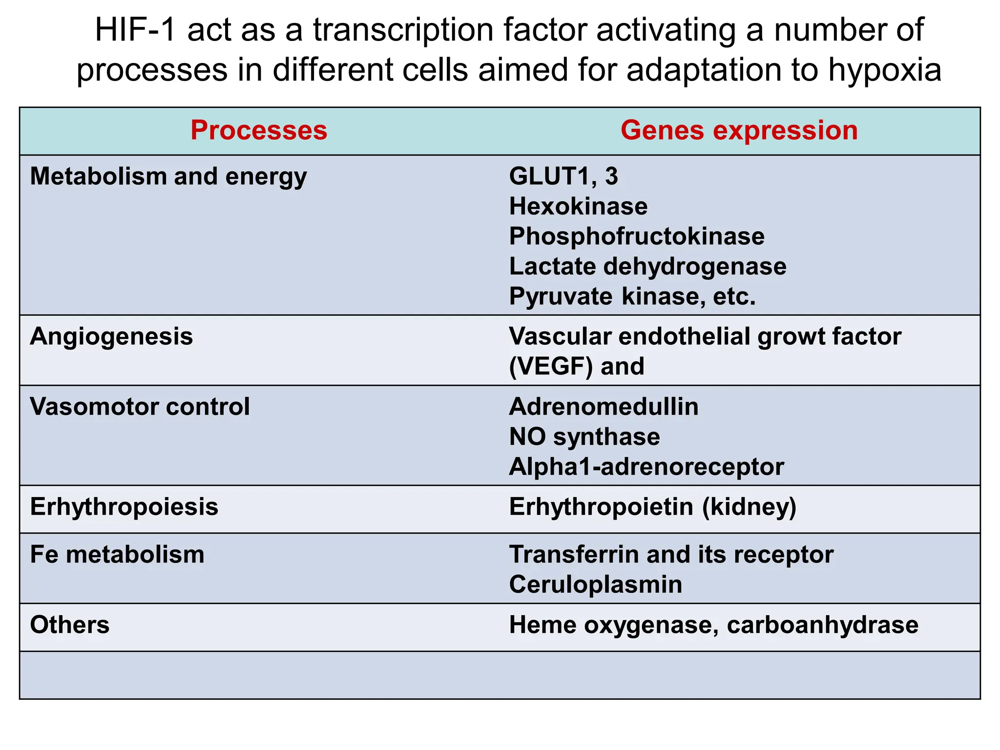 Hypoxia physiology and everything included | PDF