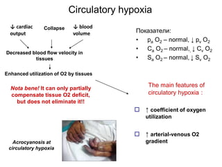 Hypoxia physiology and everything included | PDF