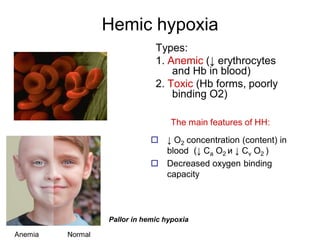 Pallorin Sentence Hypoxia physiology and everything included | PDF