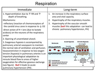 Hypoxia physiology and everything included | PDF