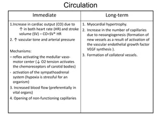 Hypoxia physiology and everything included | PDF
