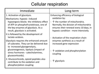 Hypoxia physiology and everything included | PDF
