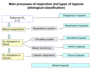 Hypoxia physiology and everything included | PDF