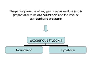 Hypoxia physiology and everything included | PDF