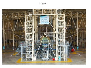Крыло
 