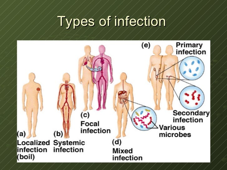 Bohomolets Microbiology Lecture #8