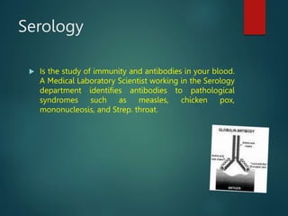 Serology
 Is the study of immunity and antibodies in your blood.
A Medical Laboratory Scientist working in the Serology
department identifies antibodies to pathological
syndromes such as measles, chicken pox,
mononucleosis, and Strep. throat.
 
