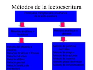 Métodos de la lectoescritura
Principales métodos para enseñanza
de la lecto-escritura
Métodos sintéticos o
fonéticos
Métodos analíticos o
globales
Método del alfabeto o
deletreo
Métodos fonéticos o fónicos
Método inductivo
Método silábico
Método gestual
Método fonético de
Montessori
Método de palabras
normales
Método fonológico
Método de oraciones
Método de cuentos
Método global ideovisual
Método de concientizacion
 