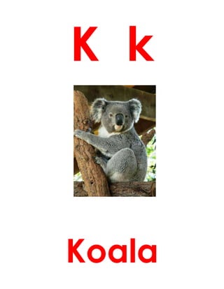 K k
Koala
 