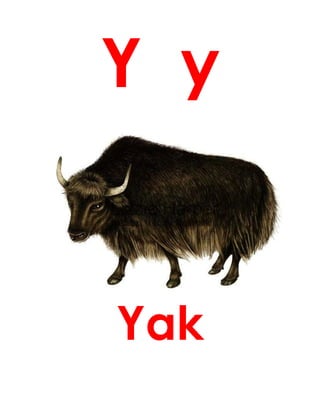 Y y
Yak
 
