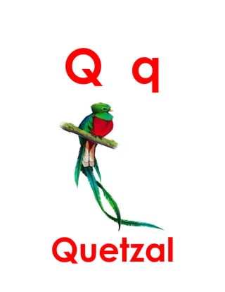 Q q
Quetzal
 
