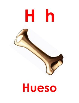 H h
Hueso
 