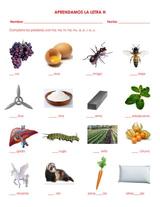 APRENDAMOS LA LETRA H
Nombre: __________________________________________________ Fecha: ____________________
Completa las palabras con ha, he, hi, ho, hu, a, e, i, o, u.
___ va ___ evo ____ rmiga _____ beja
_____ lice _____ rina _____ errro ____ erbabuena
____ gado ____ ruga ____ erta ____ chuva
____ nicornio ____ rón zana_____ria almo____da
 