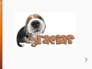 MÉTODO PALABRAS NORMALES