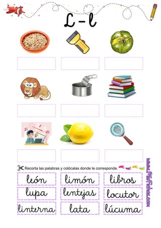 libros
lupa lentejas locutor
linterna lata lúcuma
león limón
Recorta las palabras y colócalas donde le corresponde.
 