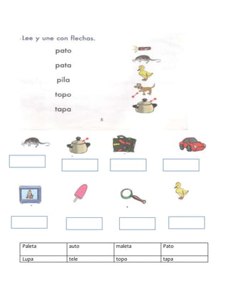 Paleta auto maleta Pato
Lupa tele topo tapa
 