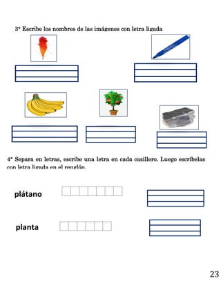 23
3° Escribe los nombres de las imágenes con letra ligada
plátano
planta
4° Separa en letras, escribe una letra en cada casillero. Luego escríbelas
con letra ligada en el renglón.
 