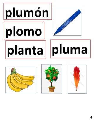 4
plomo
plumón
planta pluma
 