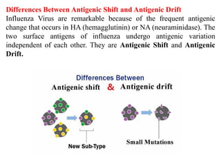 Lectral 5.Viral pathogenesis and viral genetics.pdf