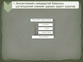 • Экосистемийн найдвартай байдлын
шүтэлцээний схемийг дараах зурагт үзүүлэв.
Экосистемийн найдвартай байдал
тогтворшил
тэнцвэр
Амьдрах чадвар
Аюулгүй байдал
 