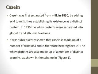 Casein
• Casein was first separated from milk in 1830, by adding
acid to milk, thus establishing its existence as a distinct
protein. In 1895 the whey proteins were separated into
globulin and albumin fractions.
• It was subsequently shown that casein is made up of a
number of fractions and is therefore heterogeneous. The
whey proteins are also made up of a number of distinct
proteins. as shown in the scheme in (Figure 1).
 