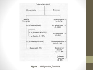 Figure 1. Milk protein fractions.
 