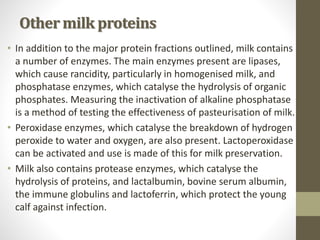 Other milk proteins
• In addition to the major protein fractions outlined, milk contains
a number of enzymes. The main enzymes present are lipases,
which cause rancidity, particularly in homogenised milk, and
phosphatase enzymes, which catalyse the hydrolysis of organic
phosphates. Measuring the inactivation of alkaline phosphatase
is a method of testing the effectiveness of pasteurisation of milk.
• Peroxidase enzymes, which catalyse the breakdown of hydrogen
peroxide to water and oxygen, are also present. Lactoperoxidase
can be activated and use is made of this for milk preservation.
• Milk also contains protease enzymes, which catalyse the
hydrolysis of proteins, and lactalbumin, bovine serum albumin,
the immune globulins and lactoferrin, which protect the young
calf against infection.
 