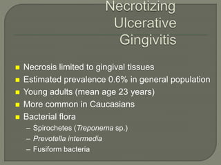  Necrosis limited to gingival tissues
 Estimated prevalence 0.6% in general population
 Young adults (mean age 23 years)
 More common in Caucasians
 Bacterial flora
– Spirochetes (Treponema sp.)
– Prevotella intermedia
– Fusiform bacteria
 