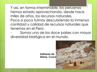 Y así, en forma interminable, los peruanos 
hemos estado aprovechando, desde hace 
miles de años, los recursos naturales. 
Poca a poco fuimos descubriendo la inmensa 
cantidad y calidad de recursos naturales que 
tenemos en el Perú: 
- Somos uno de los doce países con mayor 
diversidad biológica en el mundo. 
Salineras de 
Maras, Cusco 
 
