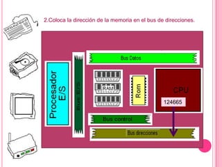 2.Coloca la dirección de la memoria en el bus de direcciones.
124665