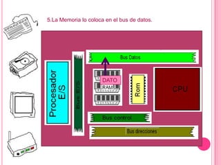 5.La Memoria lo coloca en el bus de datos.
DATO