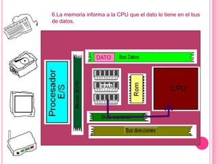 6.La memoria informa a la CPU que el dato lo tiene en el bus
de datos.
DATO