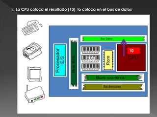 3. La CPU coloca el resultado (10) lo coloca en el bus de datos
10