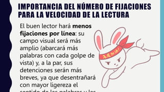 IMPORTANCIA DEL NÚMERO DE FIJACIONES
PARA LA VELOCIDAD DE LA LECTURA
El buen lector hará menos
fijaciones por línea: su
campo visual será más
amplio (abarcará más
palabras con cada golpe de
vista) y, a la par, sus
detenciones serán más
breves, ya que desentrañará
con mayor ligereza el
 