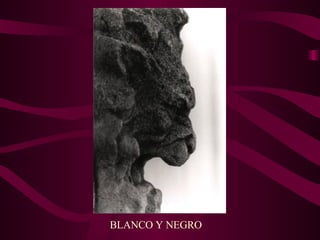 BLANCO Y NEGRO 