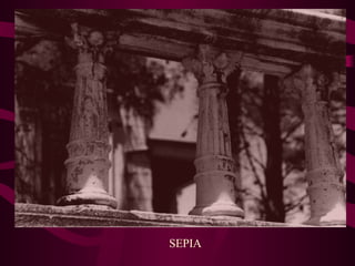 SEPIA 