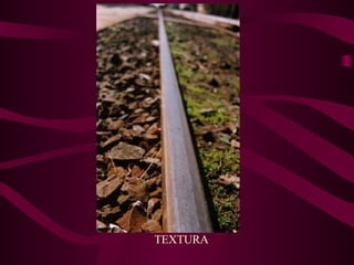 TEXTURA 