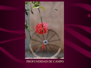 PROFUNDIDAD DE CAMPO 