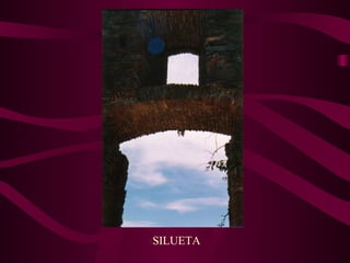 SILUETA 