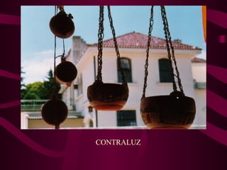 CONTRALUZ 