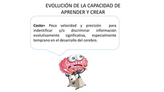 EVOLUCIÓN DE LA CAPACIDAD DE
APRENDER Y CREAR
Costo= Poca velocidad y precisión para
indentificar y/o discriminar información
evolutivamente significativa, especialmente
temprano en el desarrollo del cerebro.
 