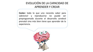 EVOLUCIÓN DE LA CAPACIDAD DE
APRENDER Y CREAR
Costo= todo lo que uno necesita saber para
sobrevivir y reproducirse no puede ser
preprogramado durante el desarrollo cerebral
prenatal sino más bien tiene que aprender de la
experiencia.
 