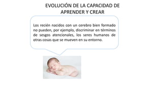 EVOLUCIÓN DE LA CAPACIDAD DE
APRENDER Y CREAR
Los recién nacidos con un cerebro bien formado
no pueden, por ejemplo, discriminar en términos
de sesgos atencionales, los seres humanos de
otras cosas que se mueven en su entorno.
 