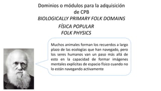 Dominios o módulos para la adquisición
de CPB
BIOLOGICALLY PRIMARY FOLK DOMAINS
FÍSICA POPULAR
FOLK PHYSICS
Muchos animales forman los recuerdos a largo
plazo de las ecologías que han navegado, pero
los seres humanos van un paso más allá de
esto en la capacidad de formar imágenes
mentales explícitas de espacio físico cuando no
lo están navegando activamente
 