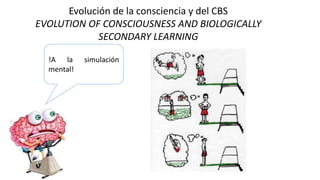 Evolución de la consciencia y del CBS
EVOLUTION OF CONSCIOUSNESS AND BIOLOGICALLY
SECONDARY LEARNING
!A la simulación
mental!
 