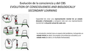 Evolución de la consciencia y del CBS
EVOLUTION OF CONSCIOUSNESS AND BIOLOGICALLY
SECONDARY LEARNING
Capacidad de crear una representación mental de un estado
deseado o fantaseado y comparar esto con una representación
mental de la situación actual de cada uno.
La simulación mental crea un espacio del problema, incluyendo un
estado inicial (es decir, las propias circunstancias actuales) y un
estado meta (es decir, el resultado fantaseado).
 