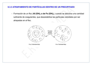 6.3.3 ATRAPAMIENTO DE PARTÍCULAS DENTRO DE UN PRECIPITADO
- Formación de un floc (Al (OH)3 o de Fe (OH)3), cuando se adiciona una cantidad
suficiente de coagulantes, que desestabiliza las partículas coloidales por ser
atrapadas en el floc.
 