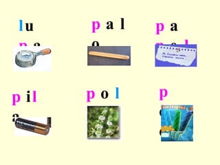 l u p a p a p e l p alo p i l a p o l eo p o l o