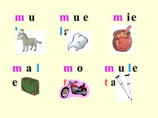 m u l a m ie l m ue l a m a l e t a m o t o m u l e t a s